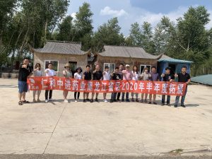 團(tuán)隊(duì)的力量