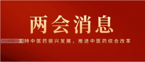 2023兩會(huì)“藥點(diǎn)”來(lái)了！政府工作報(bào)告：推進(jìn)藥品集采、中醫(yī)藥創(chuàng)新、急需藥進(jìn)?！?/>
			</a>
	    </div>
	
	    <div   id=